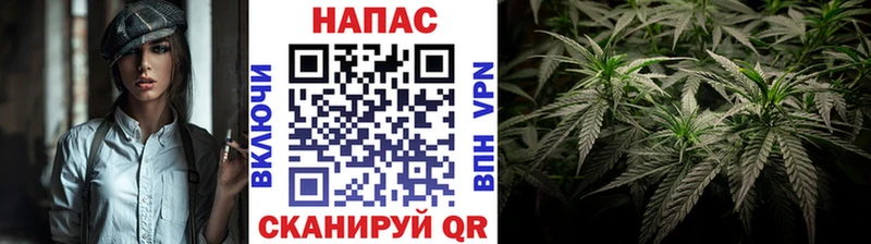 Где купить Малоярославец Галлюциногенные грибы Alpha-PVP COCAIN Меф Каннабис ГАШ