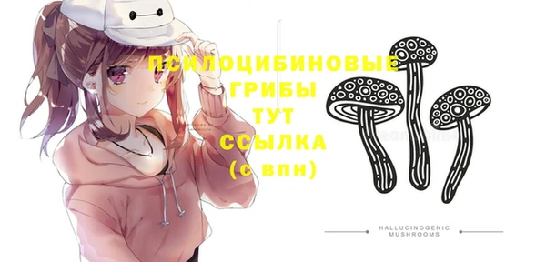 амф Балахна