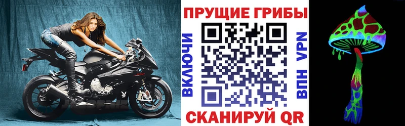 KRAKEN как зайти  Малоярославец  Псилоцибиновые грибы мухоморы 